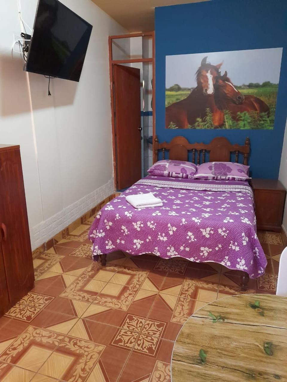 Nasca Trails B&B Наска Екстер'єр фото